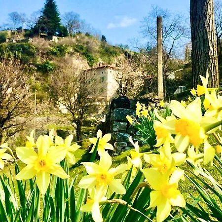 فيلا La Casa Sulla Collina Del Castello برينو المظهر الخارجي الصورة