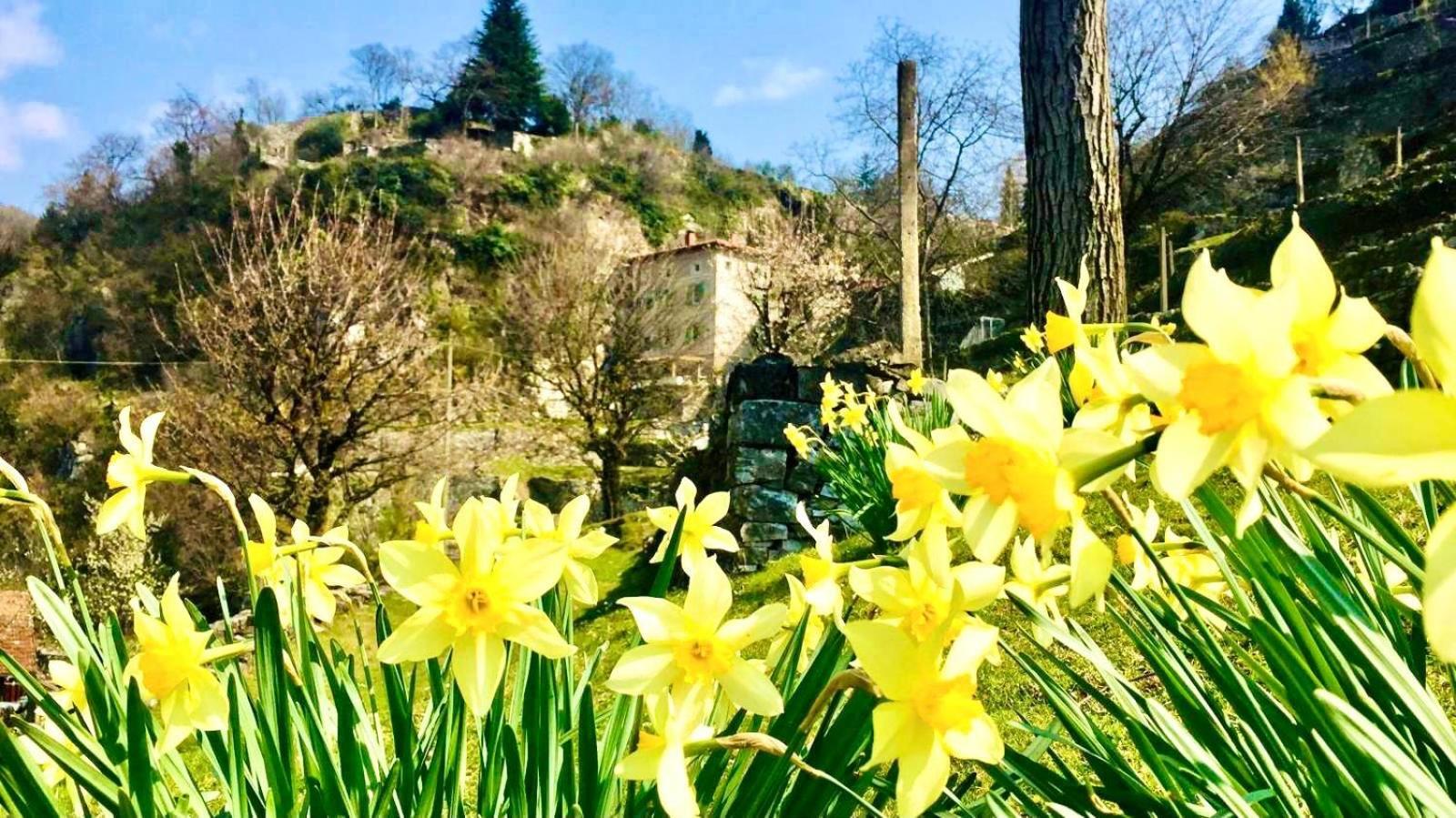 فيلا La Casa Sulla Collina Del Castello برينو المظهر الخارجي الصورة