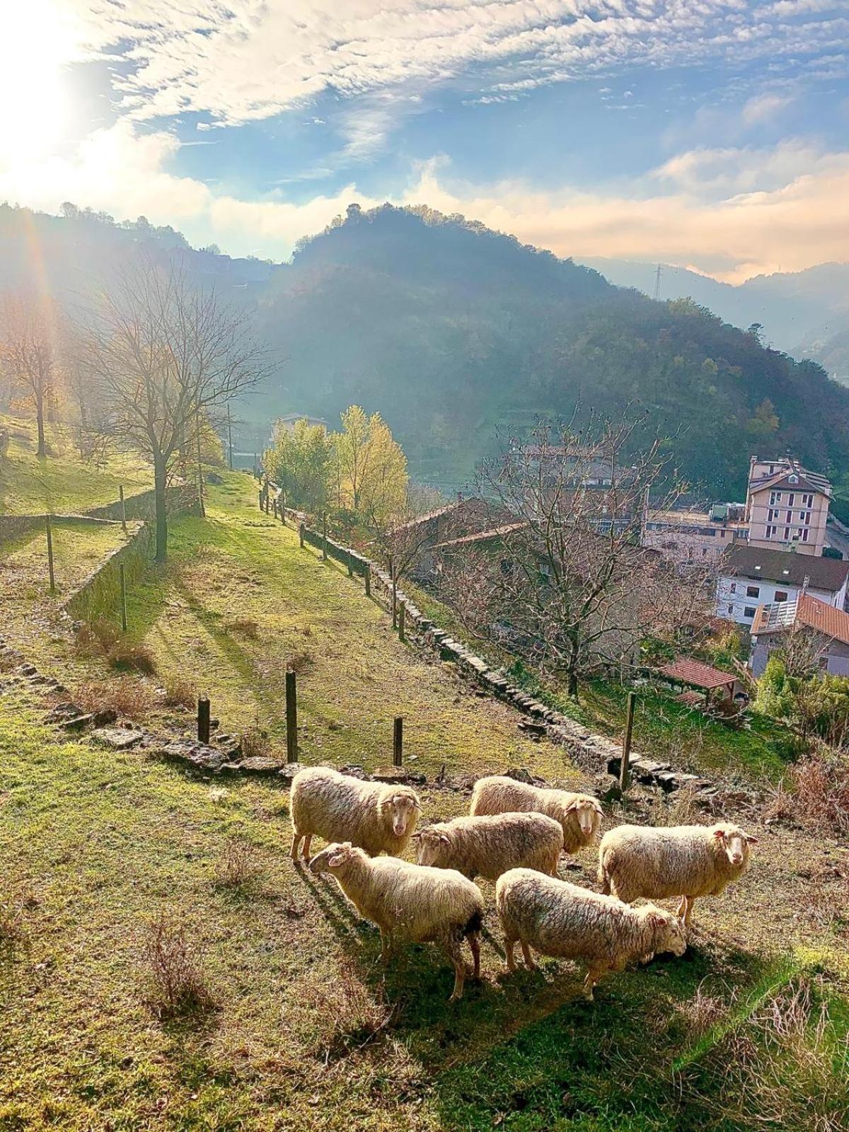 فيلا La Casa Sulla Collina Del Castello برينو المظهر الخارجي الصورة